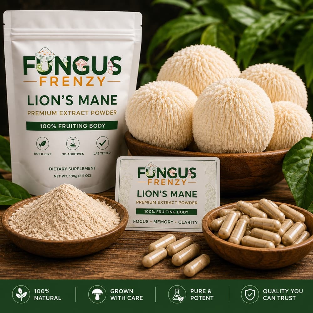 Lion's Mane — Focus, clarity & everyday brain support